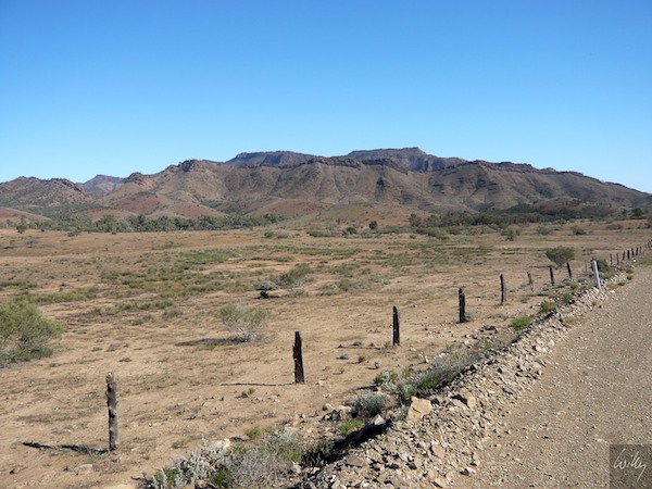 AustraliaAdelaide 10  153